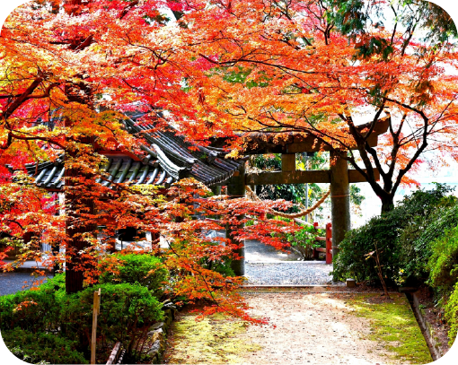 秋月（秋月城跡）